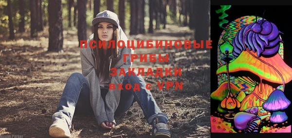 спиды Алексеевка
