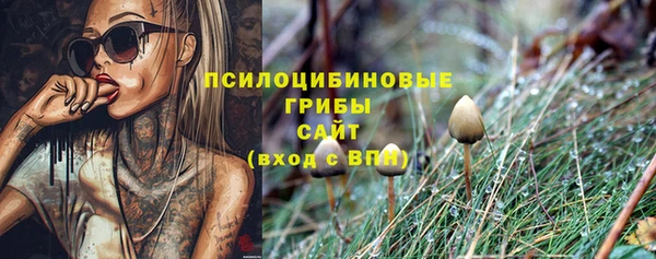 спиды Алексеевка