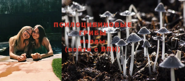 a pvp Алзамай