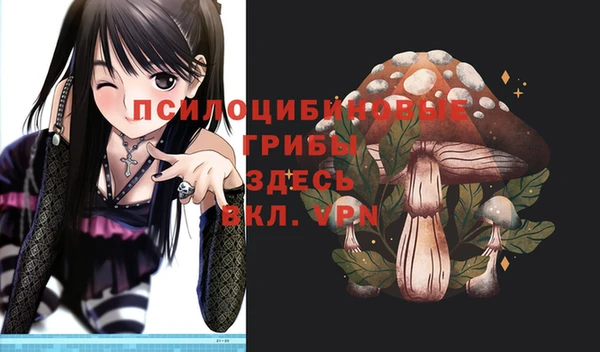 спиды Алексеевка