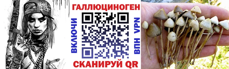 Псилоцибиновые грибы MAGIC MUSHROOMS  Алушта 